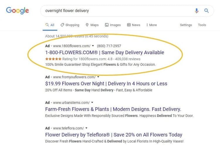 google ad with seller rating compared to ads without seller ratings