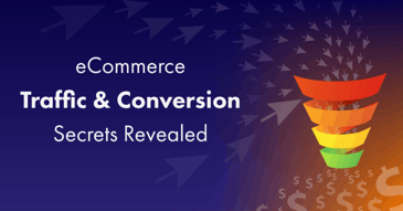 The ‘Traffic & Conversion Stack’ Ecommerce Survey