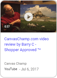 Shoppers love video reviews - canvaschamp